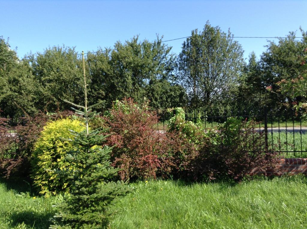 Landhaus Mit Garten ชเตชชิน ภายนอก รูปภาพ